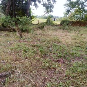 Image of 616 Sq.ft Residential Plot / Land for sale in Saligao, Goa for Rs. 65000000