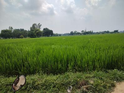 Image of 91800 Sq.ft Residential Plot / Land for sale in Sultanpur Road, Lucknow for Rs. 45000000