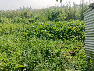 Gumar Gala Plot View 1