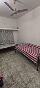 Bedroom Image of 800 Sq.ft 2 BHK Apartment / Flat for rent in Civil Lines Nagpur for Rs. 20000