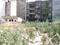 Sector 13 Dwarka Main Image 1