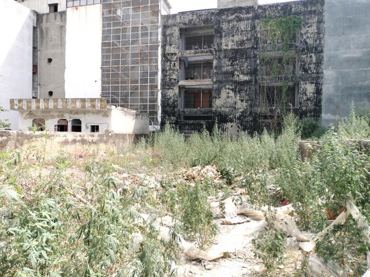 Sector 13 Dwarka Main Image 1
