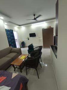 Hall Image of 900 Sq.ft 1 RK Builder Floor for rent in Vijay Niketan RWA, Naraina New Delhi for Rs. 25000