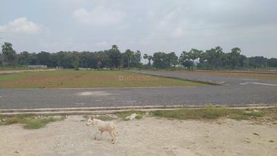 Image of 1809 Sq.ft Residential Plot / Land for sale in Nallapadu Rural, Guntur for Rs. 2613000