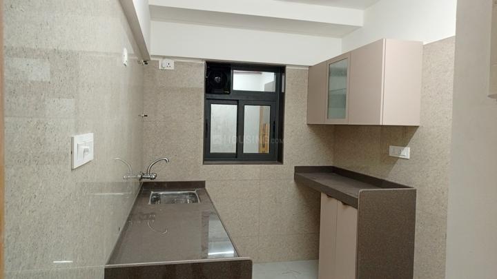 Sayba Orchid Main Image 1