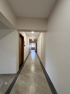 Image of 520 Sq.ft 1 BHK Apartment / Flat for rent in Excellaa Florence, Pirangut, Pune for Rs. 12500