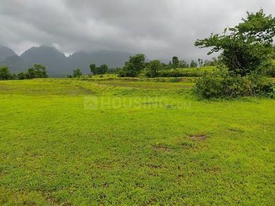 Image of 49005 Sq.ft Residential Plot / Land for sale in Murbad, Thane for Rs. 8775000