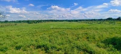 Image of 174240 Sq.ft Residential Plot / Land for sale in Kadthal, Hyderabad for Rs. 100000000