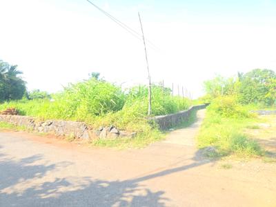 Image of 1089 Sq.ft Residential Plot / Land for sale in Vasai West, Vasai for Rs. 4850000