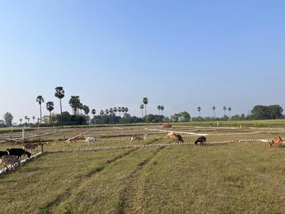 Image of 1200 Sq.ft Residential Plot / Land for sale in Bihta, Patna for Rs. 1785000