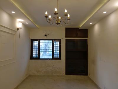 Living Room Image of 2000 Sq.ft 3 BHK Apartment / Flat for rent in Sector C 8 Vasant Kunj, Vasant Kunj New Delhi for Rs. 110000
