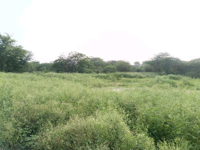 Image of 60 Sq.ft Residential Plot / Land for sale in Khera Khurd, New Delhi for Rs. 14000000