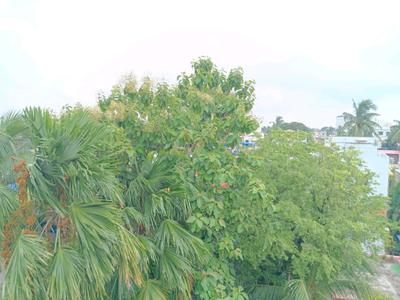 Bedroom One Image of 800 Sq.ft 2 BHK Apartment / Flat for rent in Garia, Sonarpur Kolkata for Rs. 16000