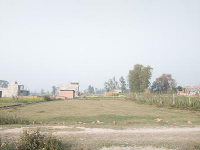 Image of 5000 Sq.ft Residential Plot / Land for sale in Mau Yaduvansh Pur, Ayodhya for Rs. 6000000
