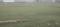 Kolia Main Image 1