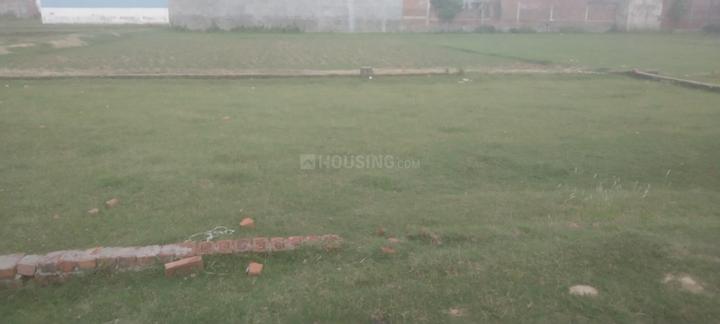 Kolia Main Image 1