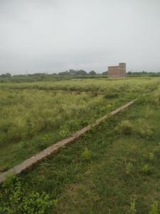 Image of 100 Sq.ft Residential Plot / Land for sale in Maharajpur, Kanpur for Rs. 700000