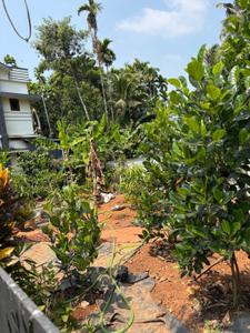 Balcony Image of 2500 Sq.ft 3 BHK Independent House for sale in Alangad Kochi for Rs. 11000000