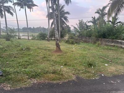 Image of 4356 Sq.ft Residential Plot / Land for sale in Chettupuzha, Thrissur for Rs. 5250000
