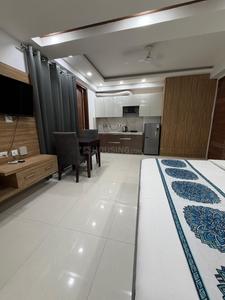Hall Image of 700 Sq.ft 1 RK Builder Floor for rent in Sector 28 Gurgaon for Rs. 28000