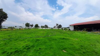 Image of 10000 Sq.ft Residential Plot / Land for sale in Bazargaon, Nagpur for Rs. 3200000