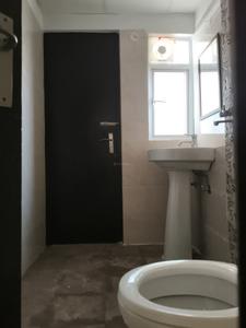 Common Bathroom Image of 1220 Sq.ft 3 BHK Apartment / Flat for rent in Amrapali Verona Heights, Noida Extension Greater Noida for Rs. 21000
