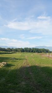 Image of 960 Sq.ft Residential Plot / Land for sale in Central Hope Town, Dehradun for Rs. 1600000