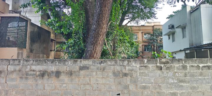 Malleshwaram Main Image 1