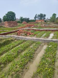 Image of 730 Sq.ft Residential Plot / Land for sale in Noida Extension, Greater Noida for Rs. 7000000