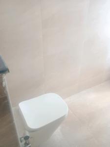 Common Bathroom Image of 2625 Sq.ft 4 BHK Apartment / Flat for sale in Kondapur Hyderabad for Rs. 33862500