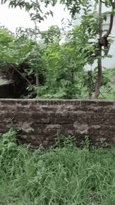 Image of 435 Sq.ft Residential Plot / Land for sale in Pandra, Ranchi for Rs. 2100000