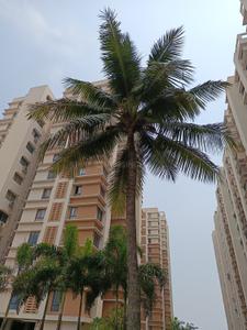 Image of 1370 Sq.ft 3 BHK Apartment / Flat for sale in DTC Southern Heights, Pailan, Kolkata for Rs. 8500000