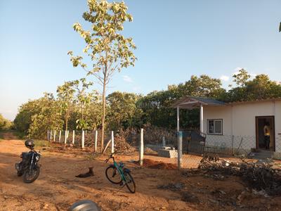 Image of 4800 Sq.ft Residential Plot / Land for sale in Periyanaickenpalayam, Coimbatore for Rs. 3450000