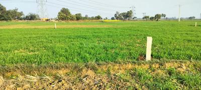 Image of 1200 Sq.ft Residential Plot / Land for sale in Bihta, Patna for Rs. 1600000