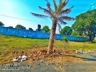 Image of 1000 Sq.ft Residential Plot / Land for sale in Panagar, Jabalpur for Rs. 600000