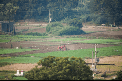 Kolar Plot View 3