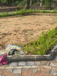 Kachnar Farm house Plot View 2