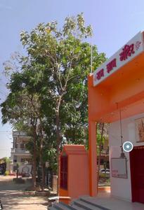 Image of 1566 Sq.ft Residential Plot / Land for sale in Govindpuram, Ghaziabad for Rs. 12000000