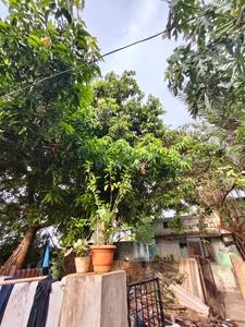 Image of 1620 Sq.ft 4 BHK Independent House for sale in Dilsukh Nagar, Hyderabad for Rs. 16200000