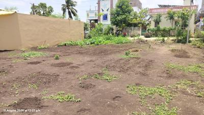 Image of 2700 Sq.ft Residential Plot / Land for sale in Guntupalli, Vijayawada for Rs. 12000000