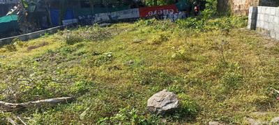 Chalikkavattom Plot View 1