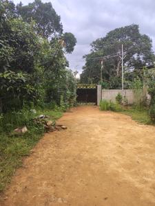 Image of 27648 Sq.ft 12 BHK Farm House for sale in Udaipur, Gomati for Rs. 20000000