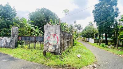 Kunnathery Thikavu Plot View 2