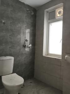 Common Bathroom Image of 750 Sq.ft 2 BHK Apartment / Flat for rent in Amrapali Dream Valley 2, Noida Extension Greater Noida for Rs. 16000