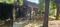 SECTOR 37 GREATER NOIDA Main Image 1