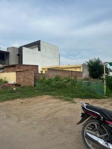 Sector 79 Plot View 2