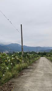Image of 2250 Sq.ft Residential Plot / Land for sale in Mussoorie Road, Dehradun for Rs. 15500000
