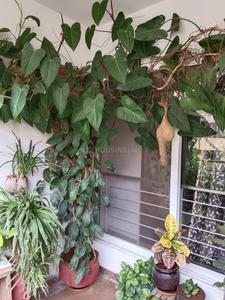 Image of 1120 Sq.ft 2 BHK Apartment / Flat for sale in Ama The Turf Building A B, Ghorpadi, Pune for Rs. 12600000
