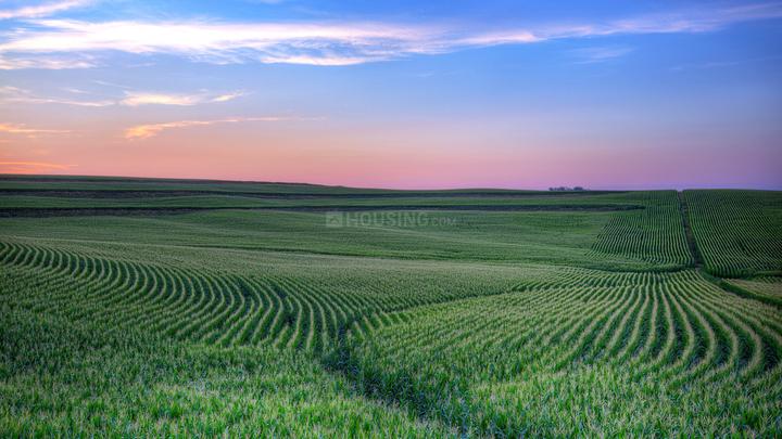 Omicron III Main Image 1