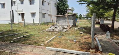 Ozone KNS Oasis Plot View 2